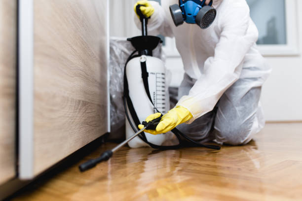 Best Pest Removal Services  in Mayo, SC