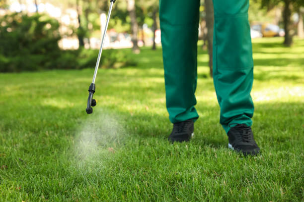 Best Flea Control Services  in Mayo, SC