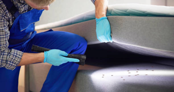 Best Pest Prevention Services  in Mayo, SC