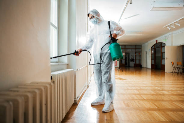Best Flea Control Services  in Mayo, SC