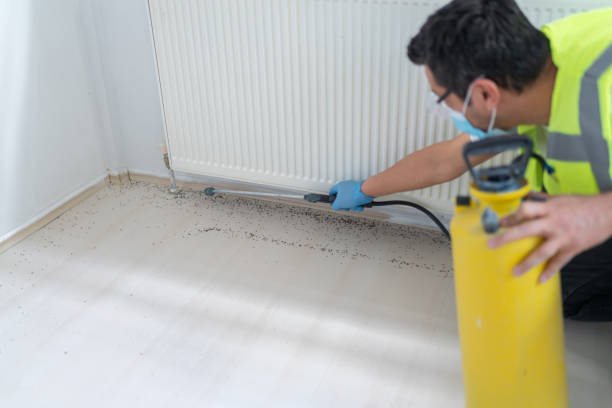 Best Affordable Pest Control Services  in Mayo, SC